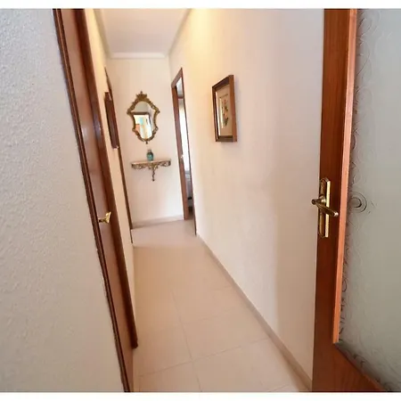 Amazing Sun * 托雷维耶哈